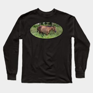 horse Long Sleeve T-Shirt